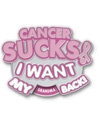 Cancer Sucks Pink Ribbon Wheel Pin