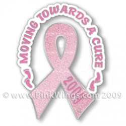 Collector's Pin 2009 "Moving Towards A Cure"