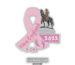 2022 New England 3-Day Walk Pink Ribbon Pin 