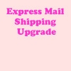 EXPRESS MAIL SHIPPING